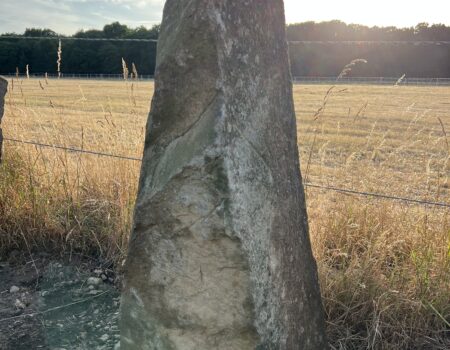 Preseli Bluestone from Pembrokeshire West Wales