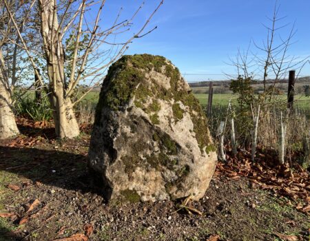 Ancient mossy Preseli Bluestone