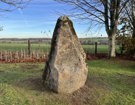 Preseli Bluestone standing stone